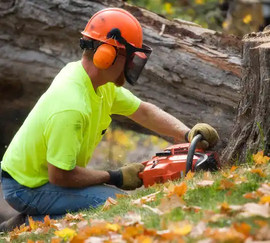 tree services Slayton